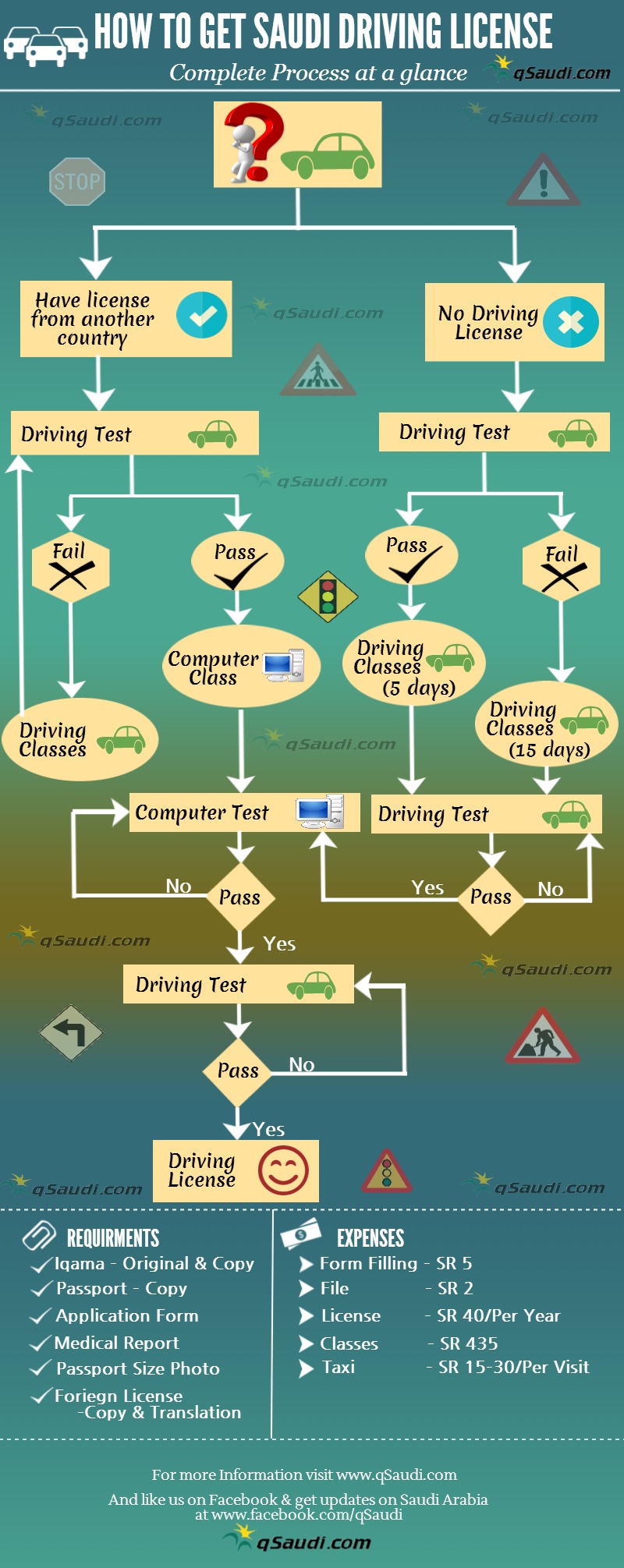 Driving license - infographics