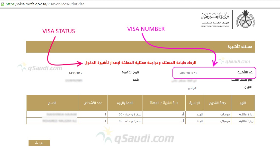 Visit Visa Status and Visa Number