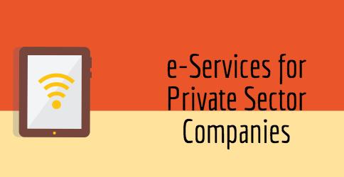 e-services for privarte sectoe
